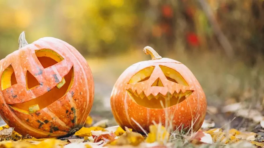 Halloween-e santi-offerta-bed-and-breakfast-pietrelcina